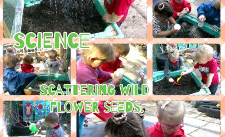 Image of Nursery - Science - Scattering Wildflower Seeds