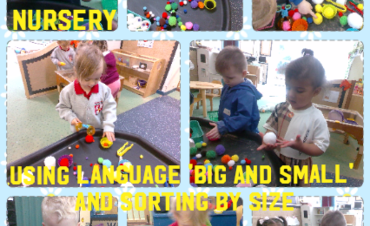 Image of Nursery - Maths - Using Language 'Big And Small' And Sorting By Size