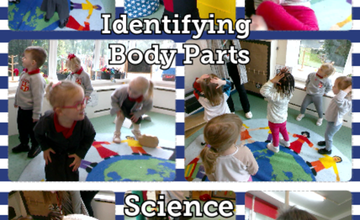 Image of Nursery - Science - Identifying Body Parts