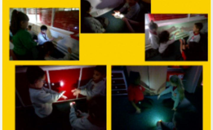 Image of Year 3 Science - Making Shadow Puppets