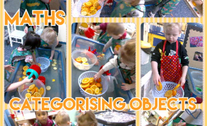 Image of Nursery - Maths - Categorising Objects