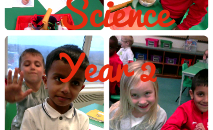 Image of Year 2 Science - Investigating How Germs Are Spread