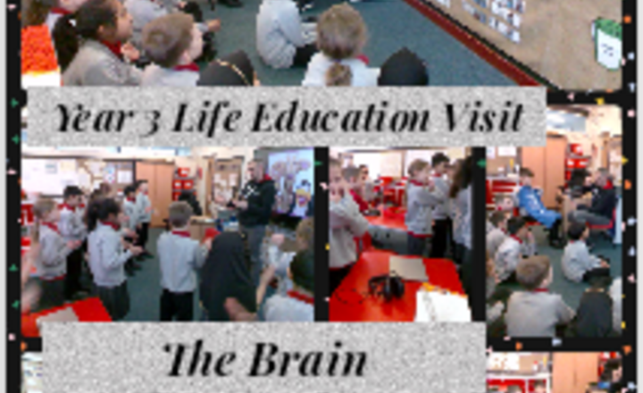 Image of Year 3 Life Education Visit - Meet The Brain