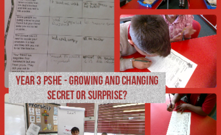 Image of Year 3 PSHE - Growing And Changing -Secret Or Surprise?