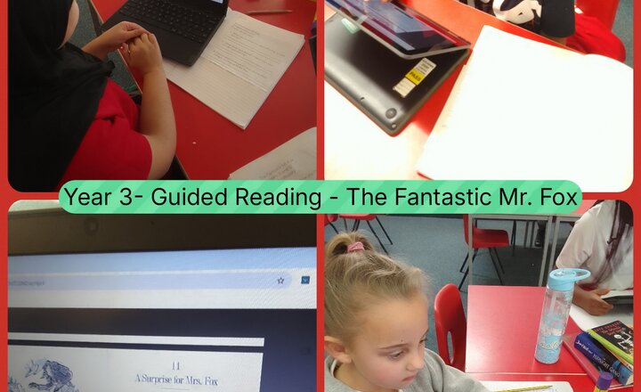 Image of Year 3 - Guided Reading - The Fantastic Mr. Fox