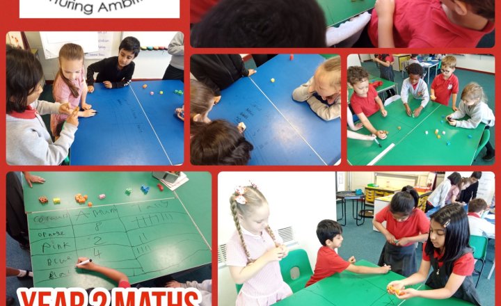 Image of Year 2 - Maths - Tally Charts