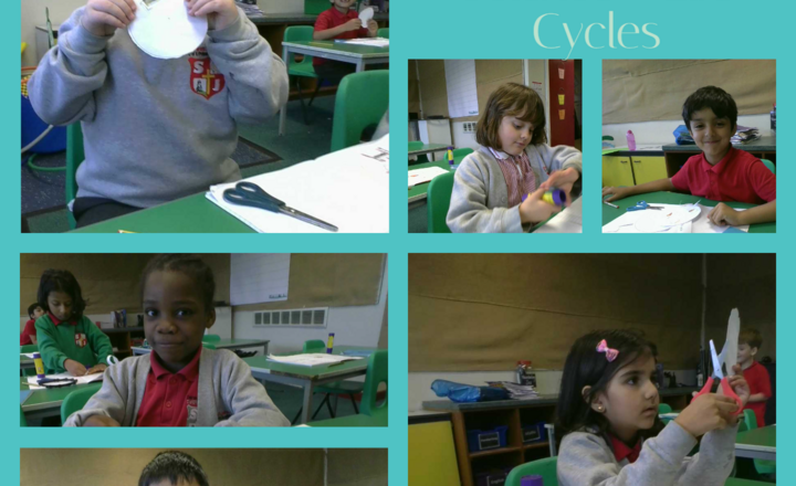 Image of Year 2 - Science - Life Cycles