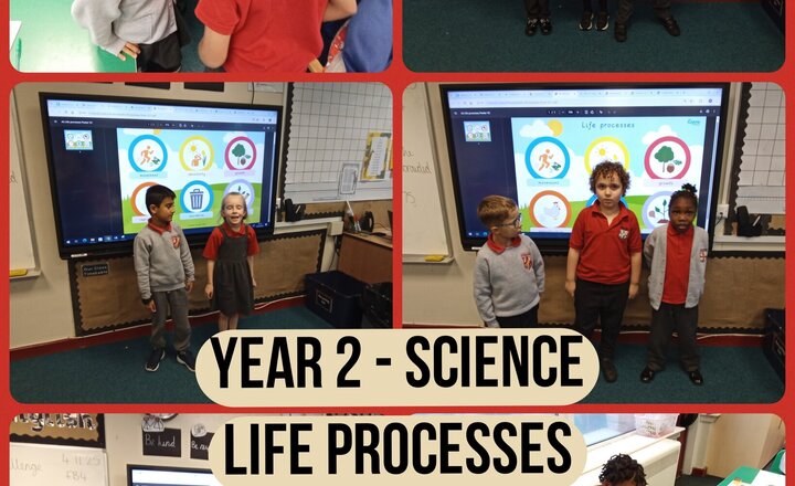 Image of Year 2 - Science - Life Processes