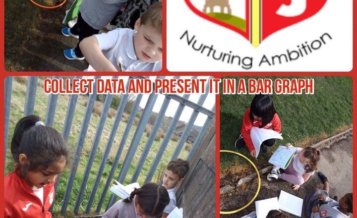 Image of Year 2 Geography: Collect and Present Data