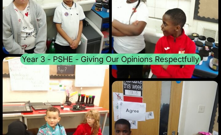 Image of Year 3 - PSHE - Sharing Our Opinions Respectfully