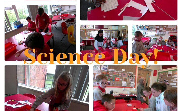 Image of Year 5 Science Day. 