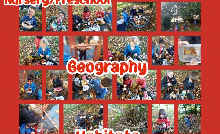 Image of Nursery And Pre-School - Geography - Habitats
