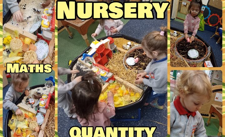 Image of Nursery - Maths - Quantity