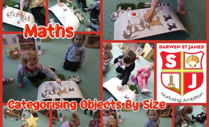 Image of Nursery - Maths - Categorising Objects By Size