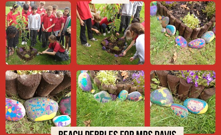 Image of Year 5 - Beach Pebbles to Remember Mrs Davis