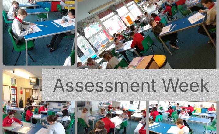 Image of Year 4 Assessment Week