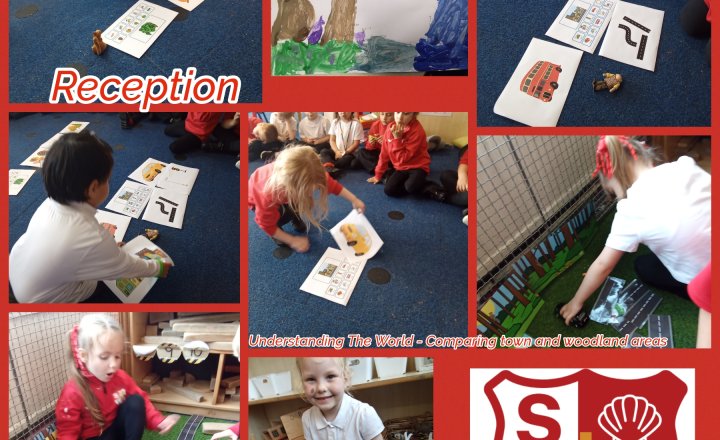 Image of Reception-Understanding The World-Comparing Woods and Towns