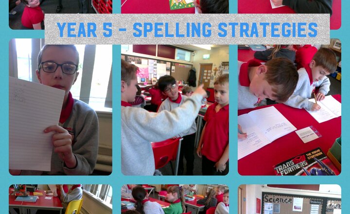 Image of Year 5 Spelling Strategies