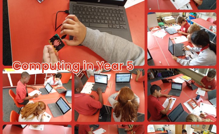 Image of Year 5 Computing - microbits