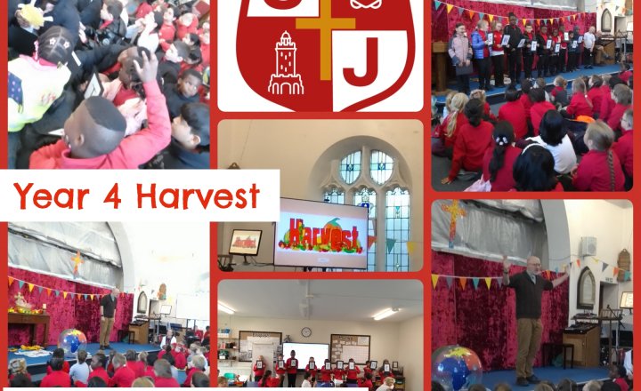 Image of Year 4 Harvest