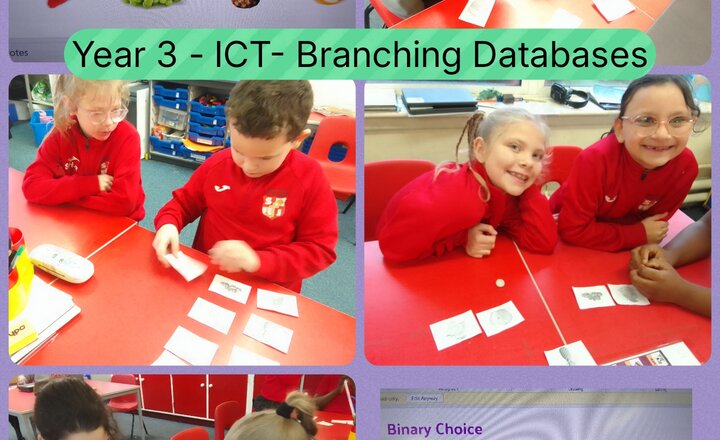 Image of Year 3 - Computing - Branching Databases