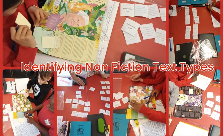 Image of Year 5 English - Identifying Non Fiction Text Types
