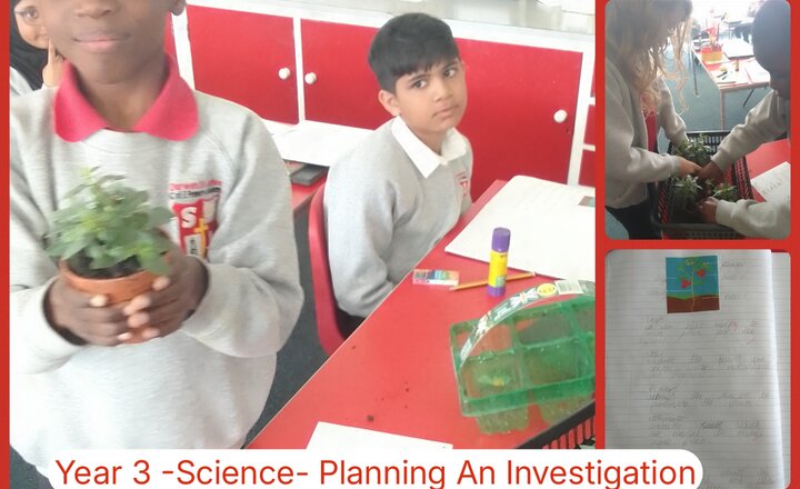 Image of Year 3 - Science - Planning An Investigation