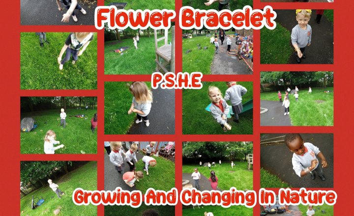 Image of Nursery/Pre-School-P.S.H.E- Growing And Changing In Nature-Flower Bracelets 