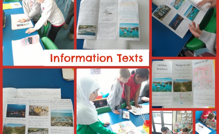 Image of Year 4 English - Information Texts