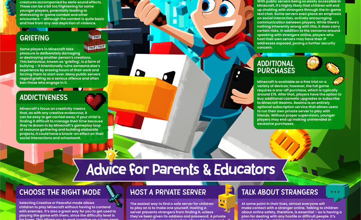 Image of Online Safety  -Minecraft