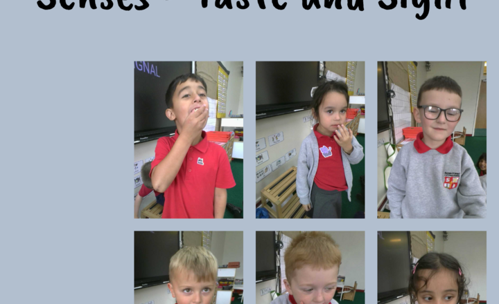 Image of Year 1 - Science - Senses