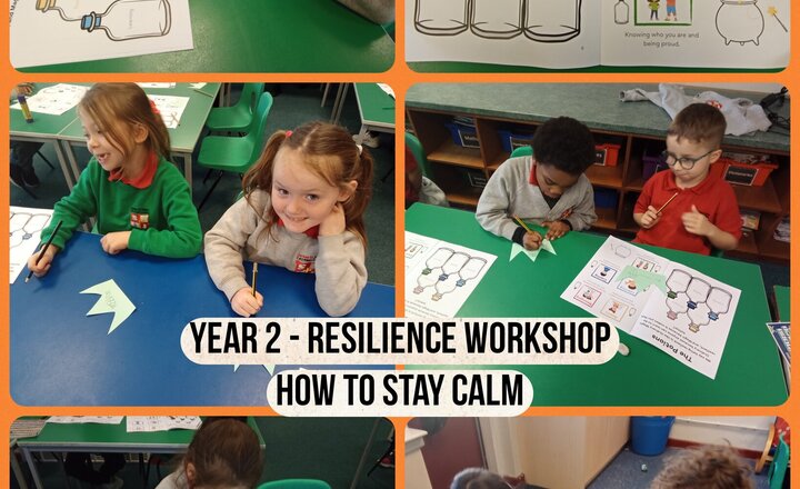 Image of Year 2 - Bounce Back - Resilience