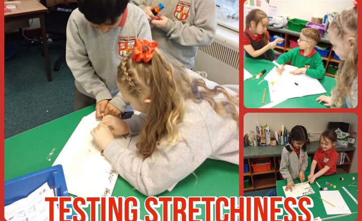 Image of Year 2 Science: Testing Stretchiness