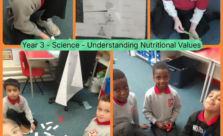 Image of Year 3 - Science - Understanding Nutritional Values