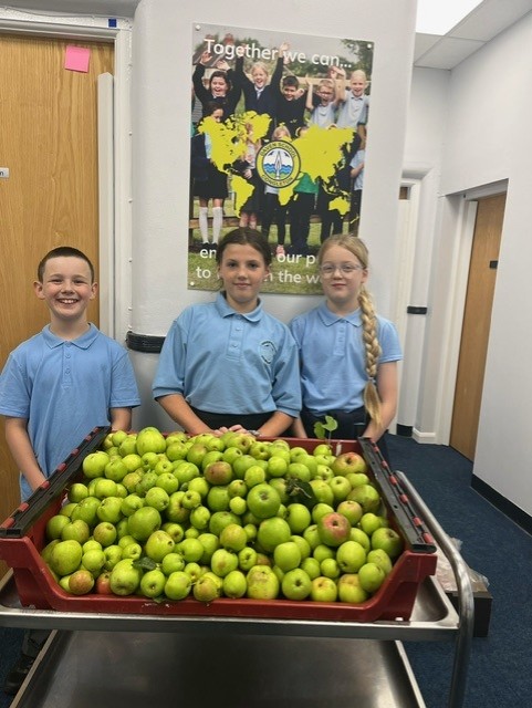 Image of Apple Collecting for The Old Saw Mill