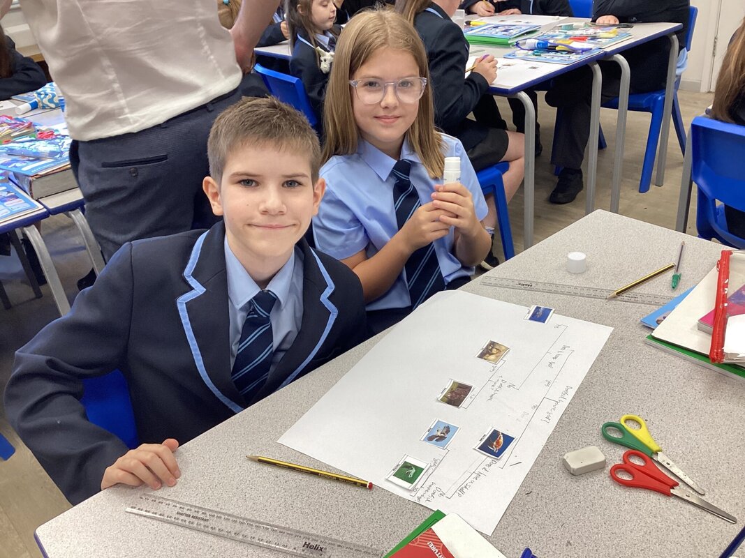 Image of Classifying Animals Using Classification Keys - Year 6 Science