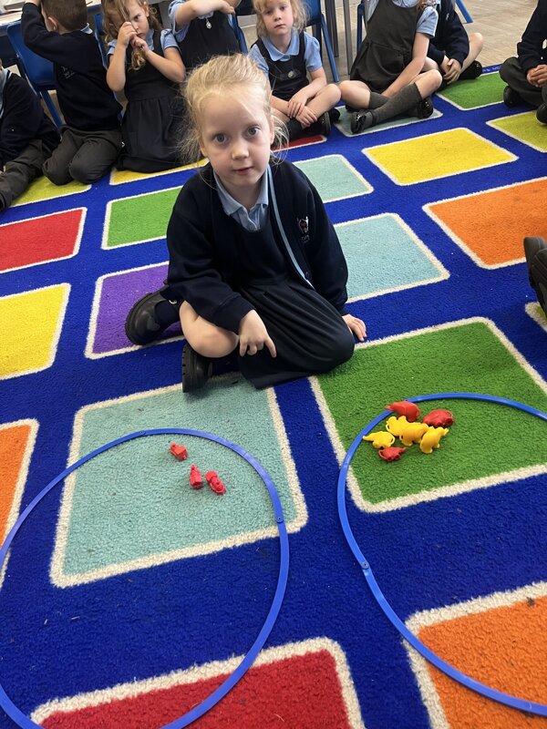 Image of Year 1 - Grouping objects in Maths