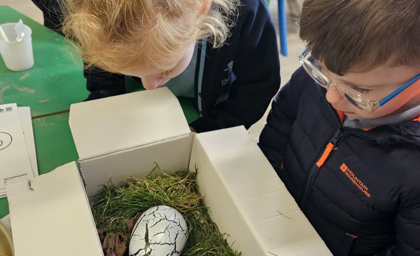 Image of Reception- Dinosaur egg discovery