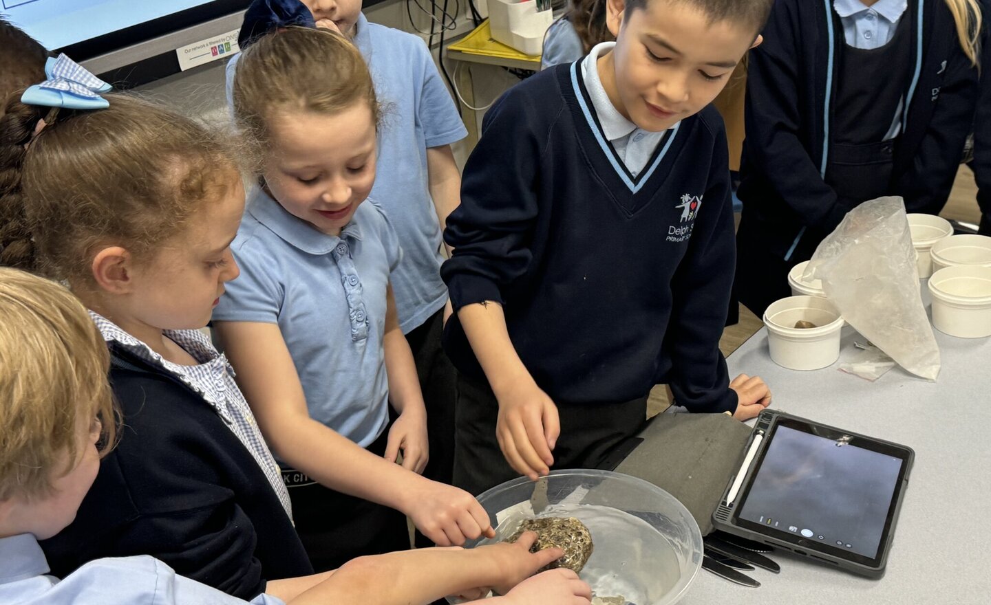 Image of Year 3 testing rocks