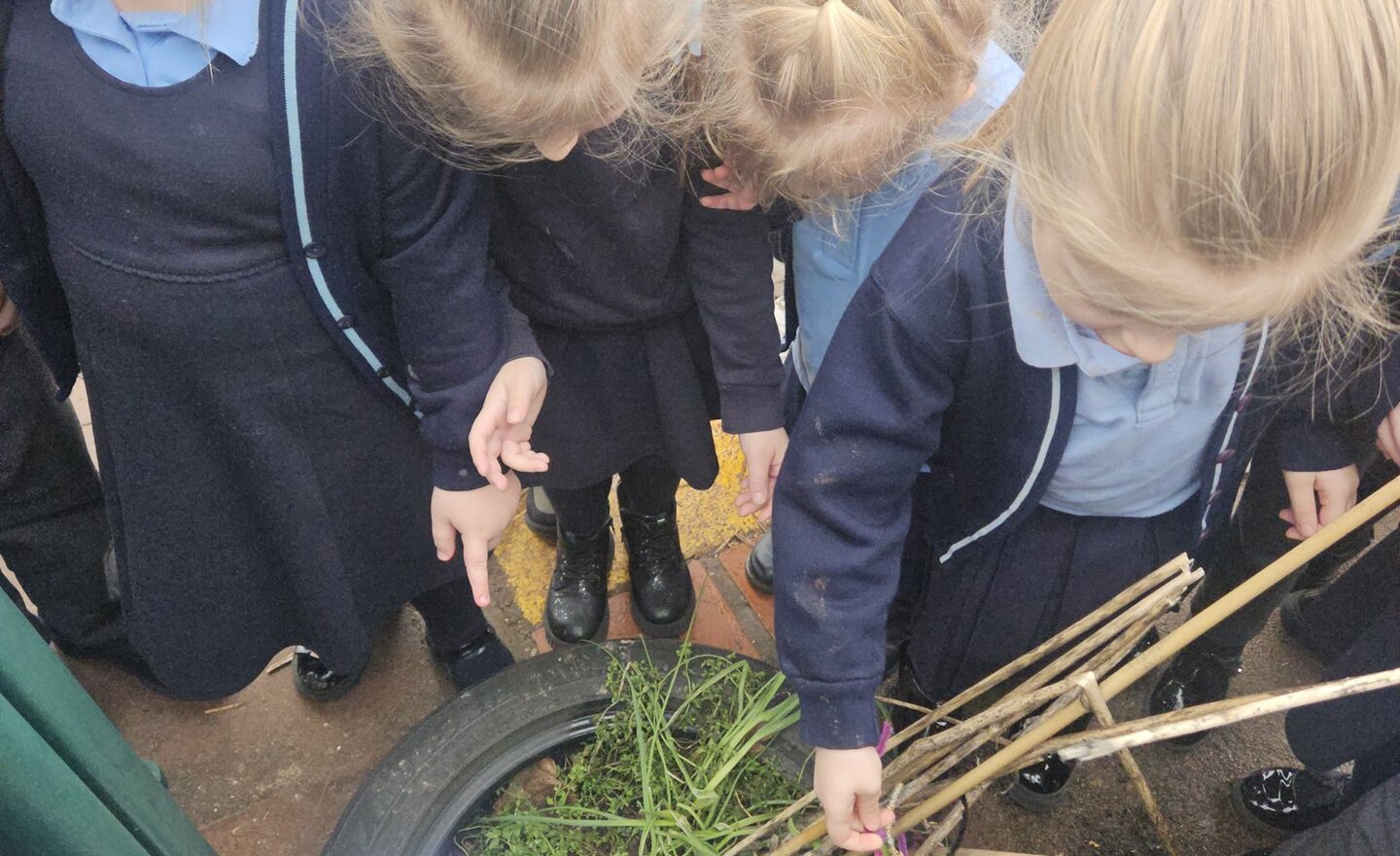 Image of Reception- Dinosaur egg discovery