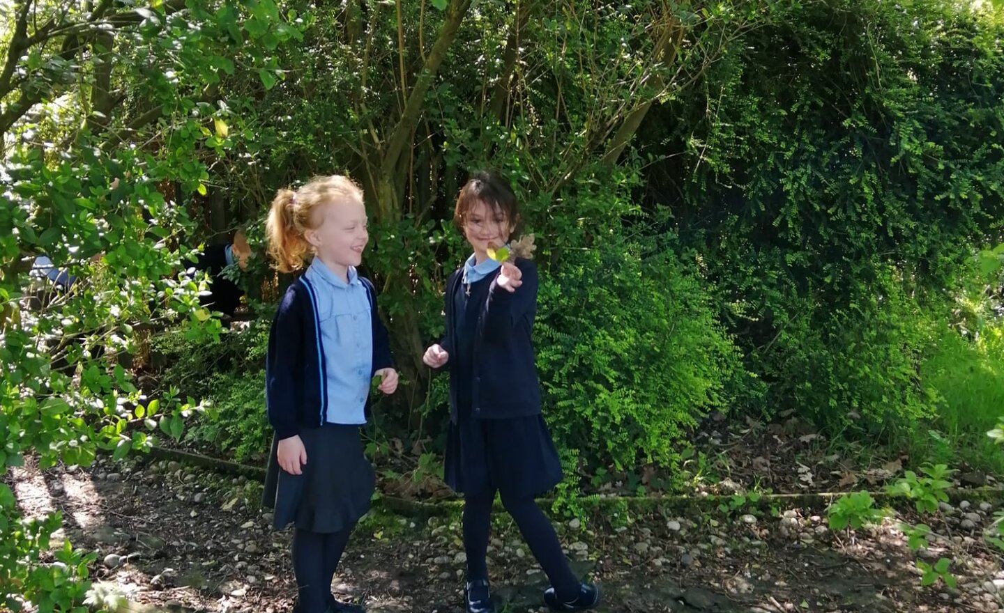 Image of Science Exploring Leaves Y1