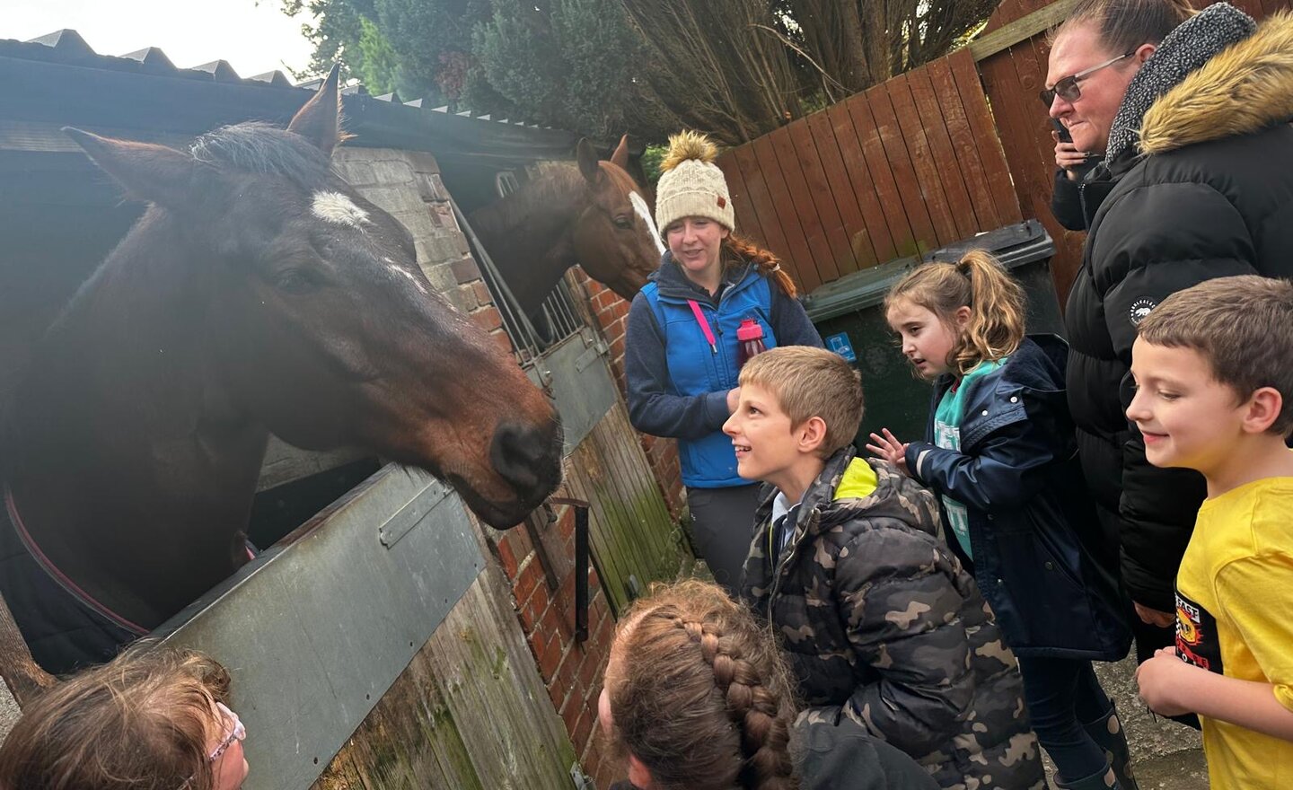 Image of Stable Lives - The Hangout 