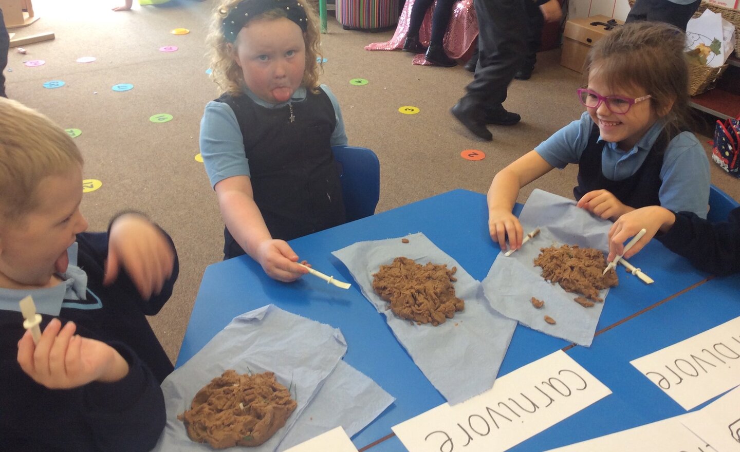 Image of Year 1 - Exploring animal poo!