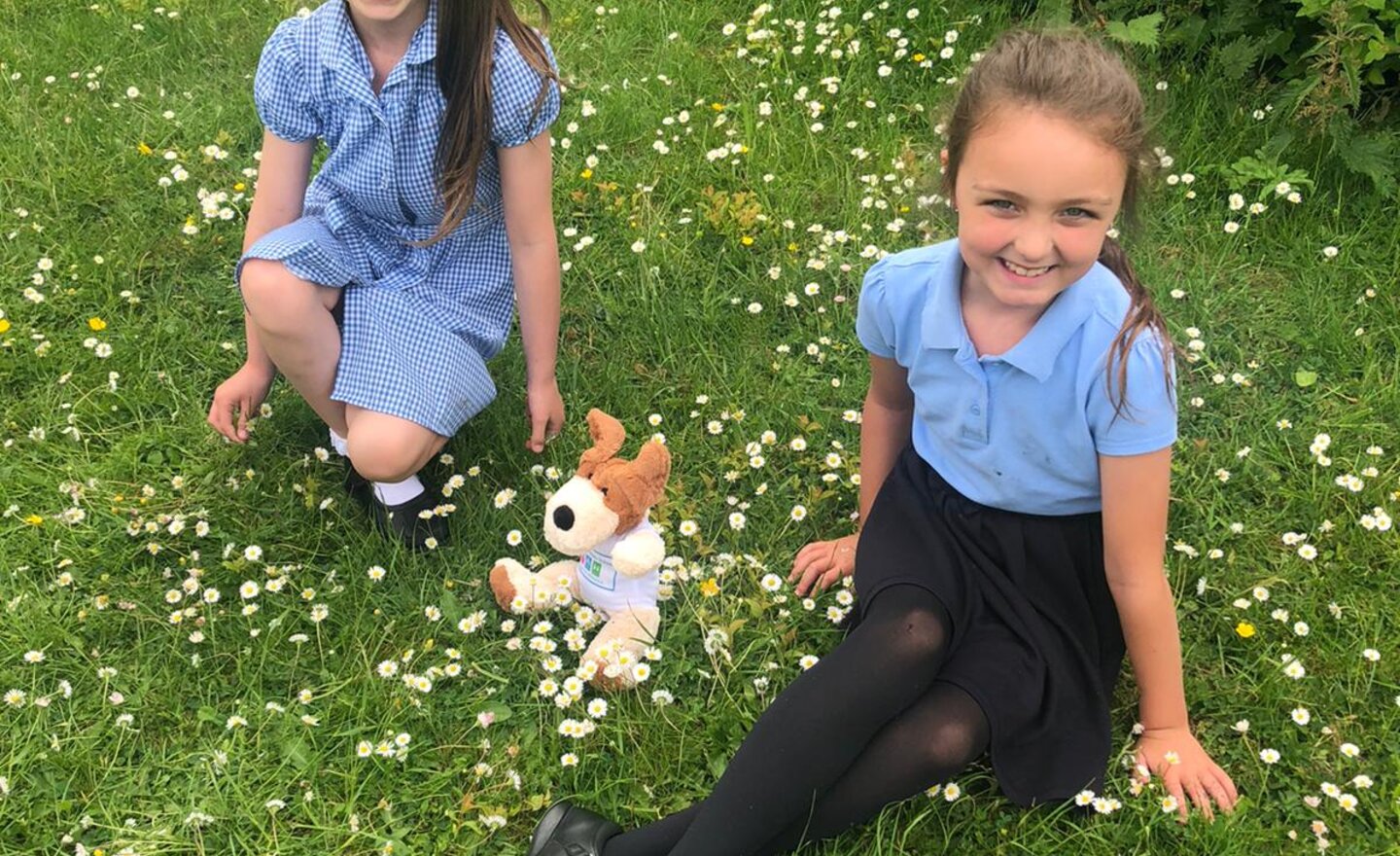 Image of Y3 playtime fun with dog teddies