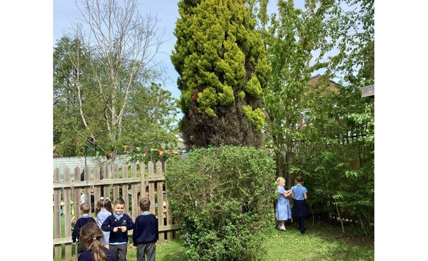 Image of Y1 Science Tree Hunt