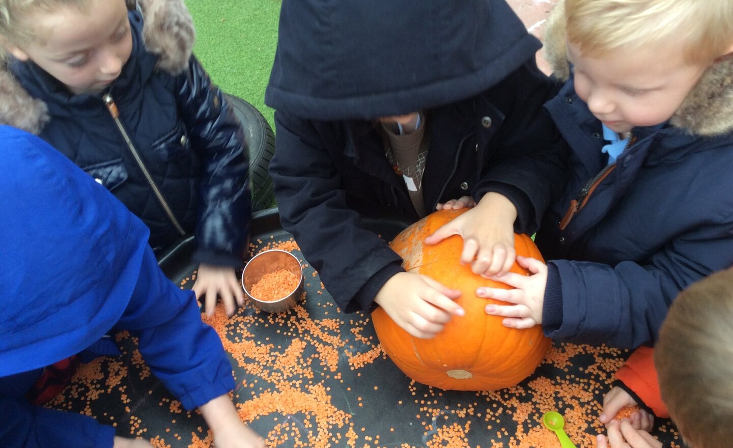 Image of Reception-Pumpkin fun