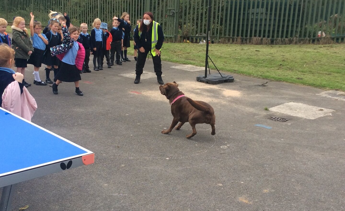 Image of Year 1 - Poppy time!