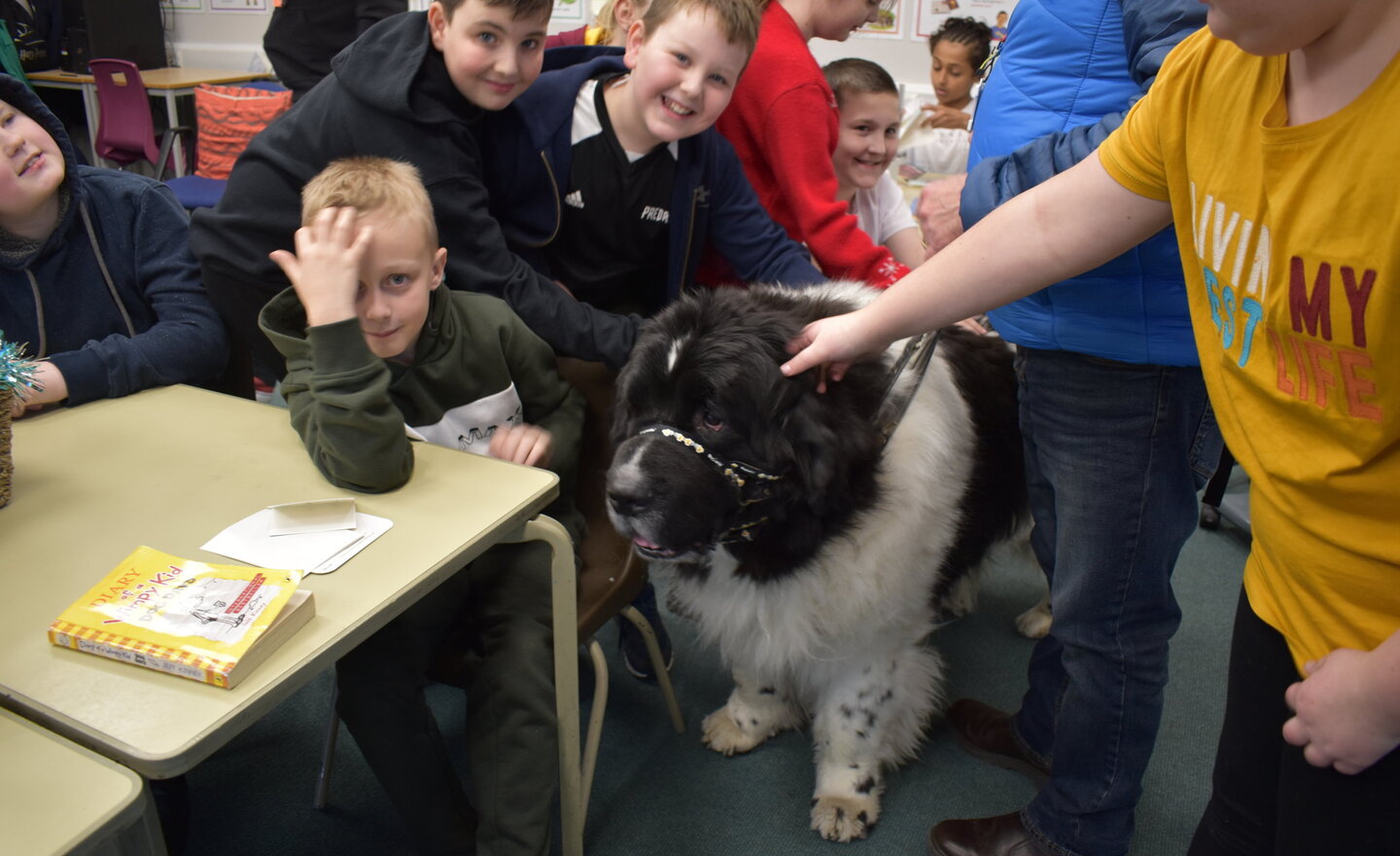 Image of Y6 Meet Monty Dogge