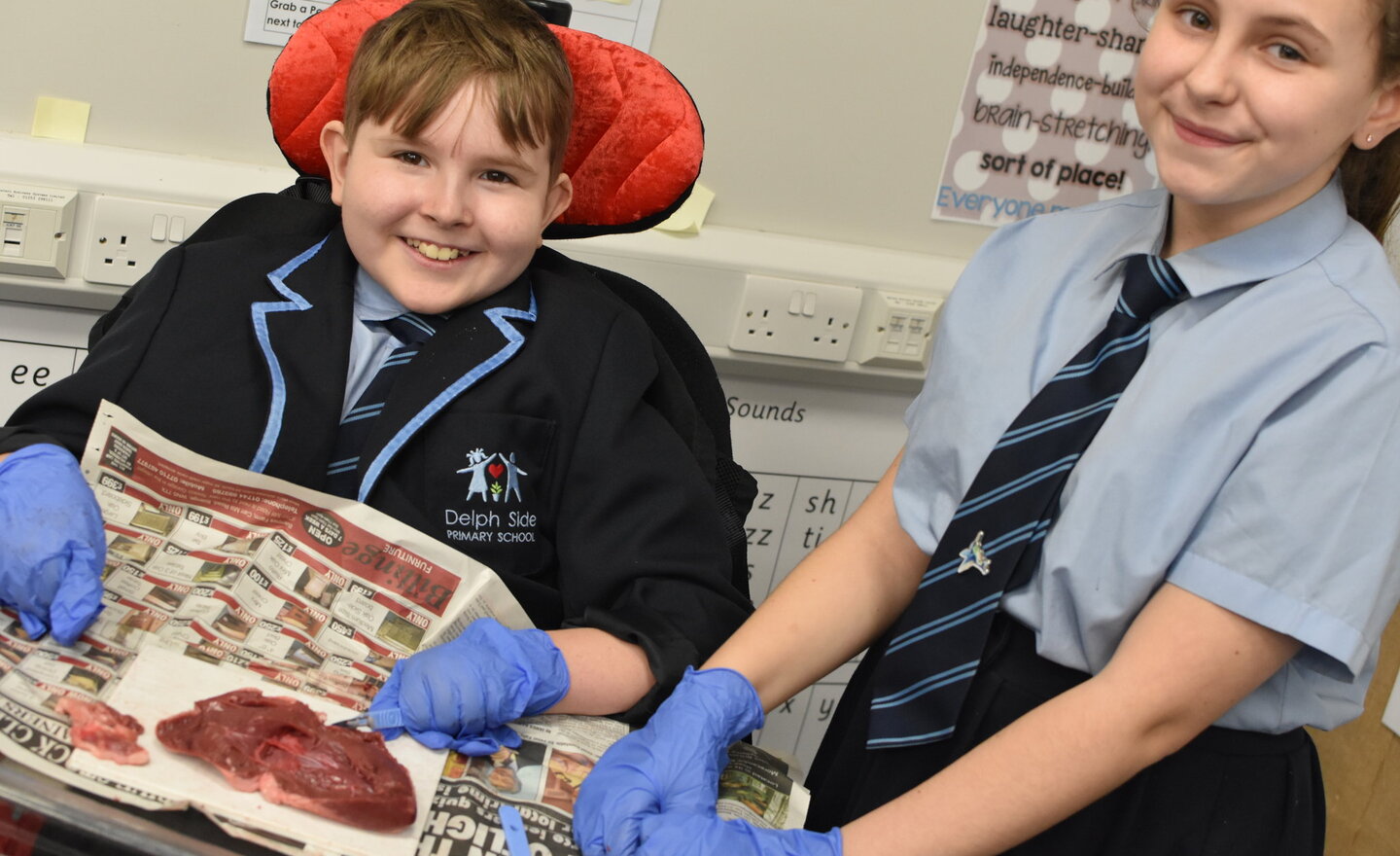 Image of Year Six Heart Dissecting