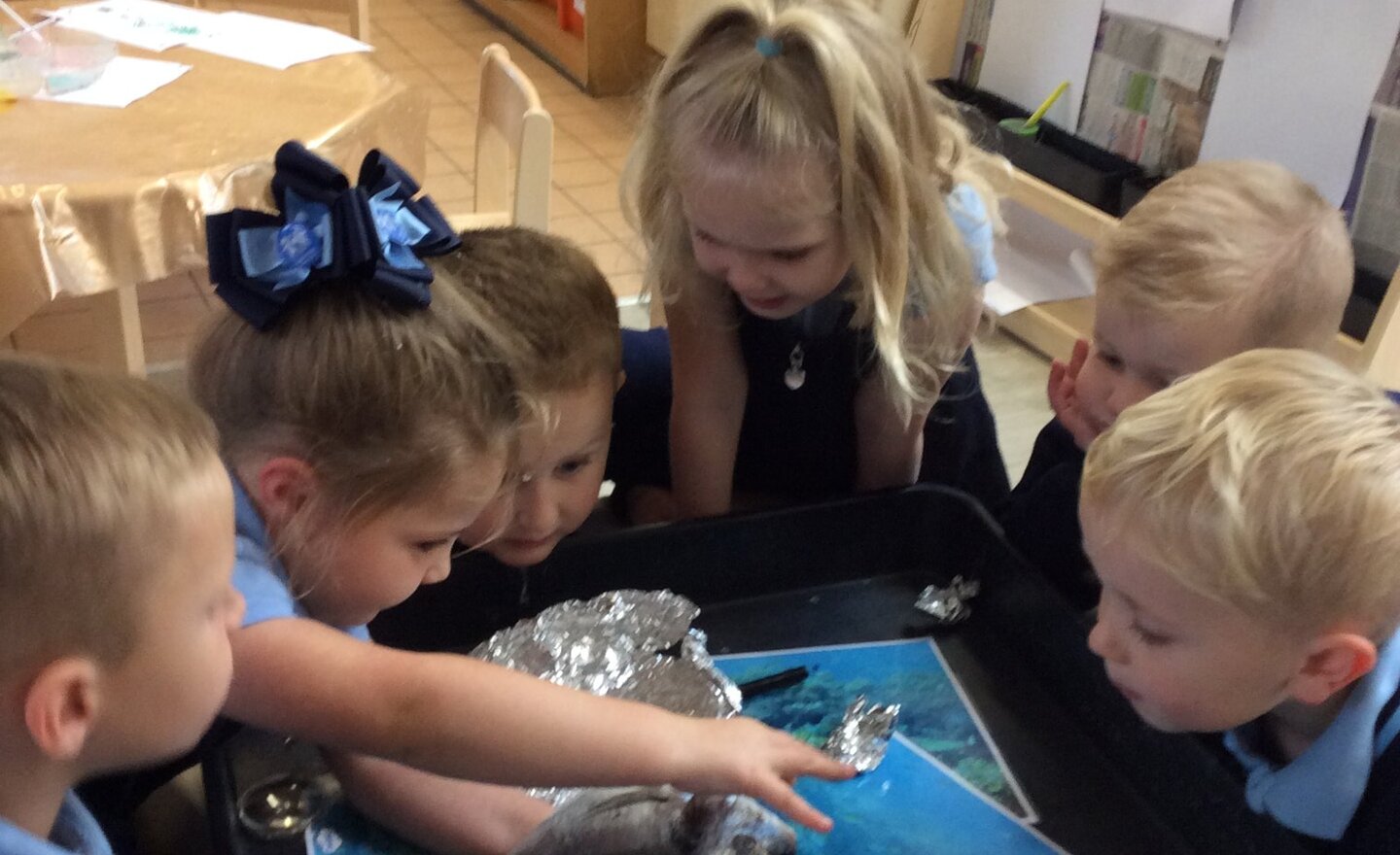 Image of Pre School fish investigation